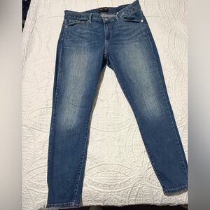 Banana Republic Women's Blue Skinny Jeans